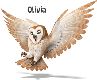 Olivia the Owl