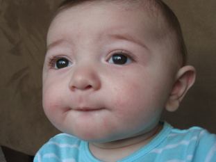 13754473_922169814592683_7174288260518884306_n